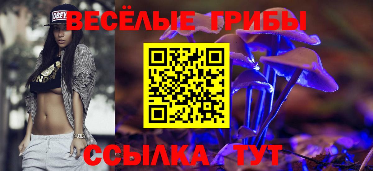 Псилоцибиновые грибы MAGIC MUSHROOMS  Псилоцибиновые грибы прущие грибы  Вход с VPN  Краснокаменск 